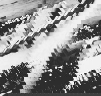 The Cordial Bar - Stayed