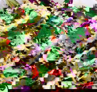 Metro Market Seafood - Stayed