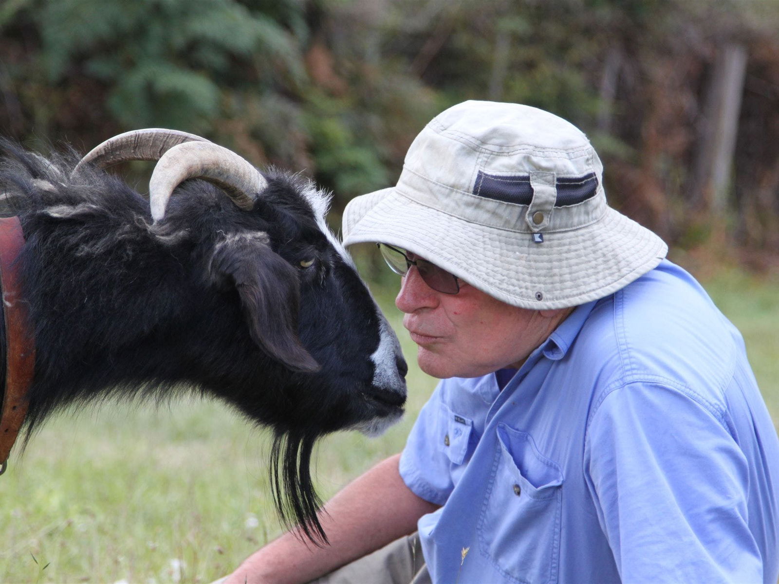 Lower Turners Marsh TAS Stays Accommodation