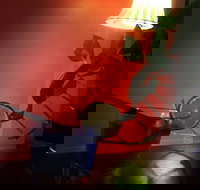 Temple of spices Indian  Vegan Restaurant - Stayed