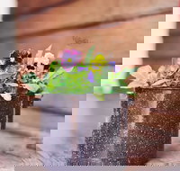 The York Mill - Stayed