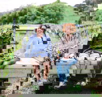 Four Winds Vineyard Cellar Door