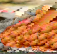 Mathoura Mandarins - Stayed