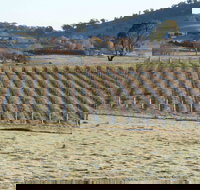 Patina Wines - Stayed