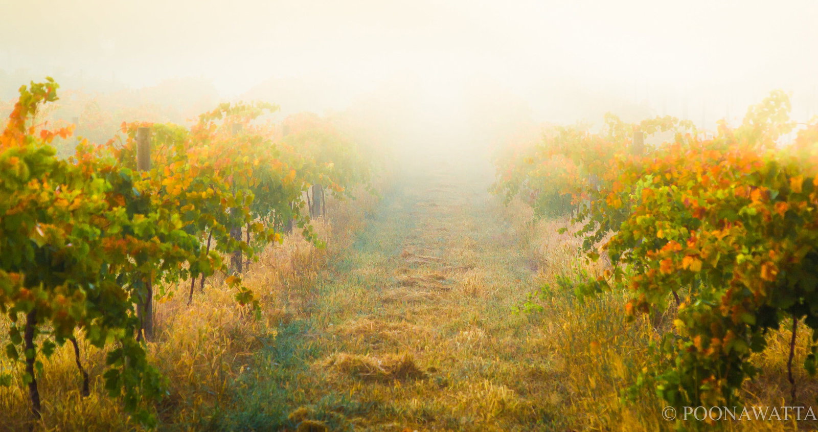 Flaxman Valley SA Stayed