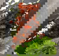 Royal India Restobar - Stays Accommodation