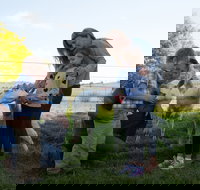 Sunhill Dairy Goats and Sunhill Skin Essentials - Stayed