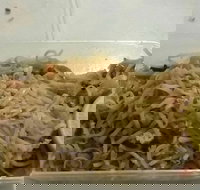 Thaipower - Stays Accommodation