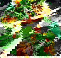 The Local Shed Cafe - Stays Accommodation