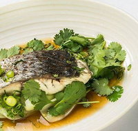 The Mossy Cafe - Stayed