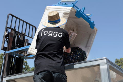 Foggo Wines - Stayed 1