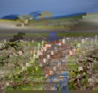 Kurtz Family Vineyards - Stays Accommodation