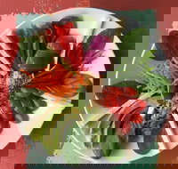 Olive Bus Clare - Stayed