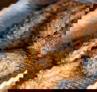 The Art of Fried Chicken - Stayed