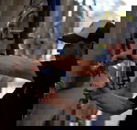 Wild Hop Brewing Company - Stayed