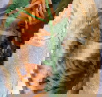 WOW Banh Mi - Stayed