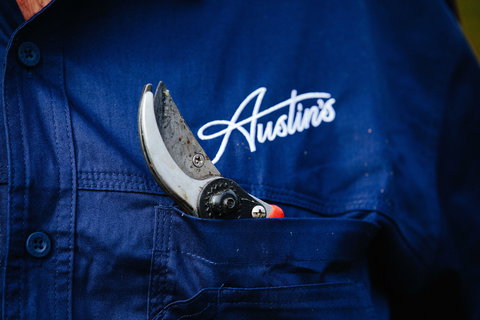 Austin's Wines - Stayed 2