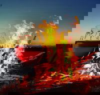 Black Dog Brewery - Stayed