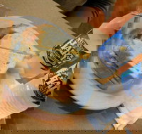 Museum Coffee Shop - Stayed