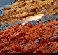 Spice Blast - Stayed