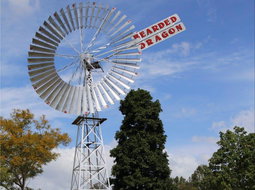 Tamborine Restaurants and Takeaway Stayed Stayed