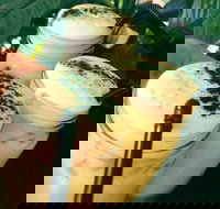 Chillers Cafe - Stayed