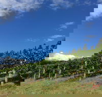 Freycinet Vineyard - Stayed