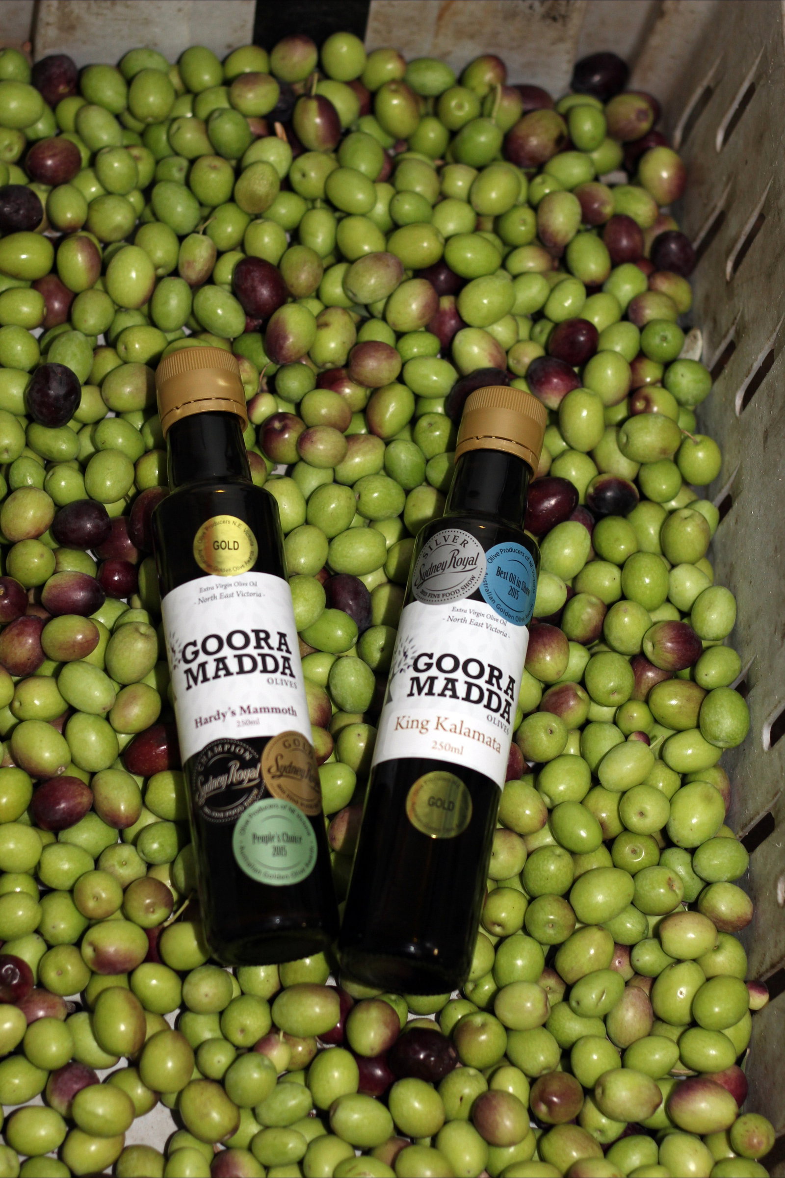 Gooramadda VIC Stayed