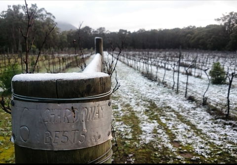 Mount Buninyong Winery - Stayed 1