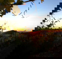 Glenbosch Wine Estate - Stays Accommodation