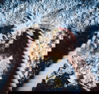 Mill  Bakery - Stayed