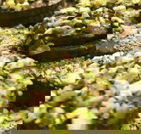 O' La La Sweets - Stayed