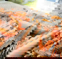 Rufus King Seafoods Amity Point - Stayed