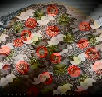 Sam's Gourmet Pizzas - Stayed