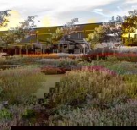 Barossa Valley Estate Cellar Door  Gardens - Stays Accommodation
