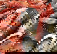 Mi Shells Seafood - Stayed