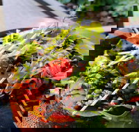 The Berry Farm Cottage Caf