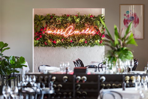 Miss Amelie & Little Miss - Stayed 0