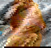 The Fish Inn - Stayed