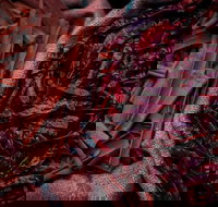 Urban Tadka - Stayed