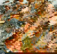 Central Kebabz - Stayed