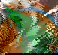 Fairbrossen Estate - Stayed