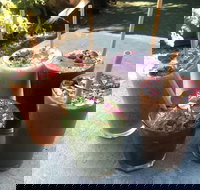 Garden Grub Cafe - Stayed