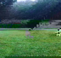Goat Hill Farm - Stays Accommodation