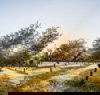 Guneemooroo Estate - Stayed