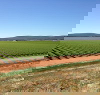 Melange Wines - Stayed