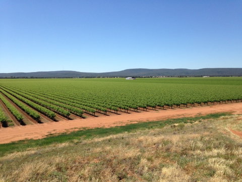 Melange Wines - Stayed 0