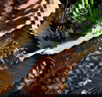 Outback Steakhouse Wollongong - Stayed