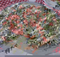 Texas Wild Wings - Stayed