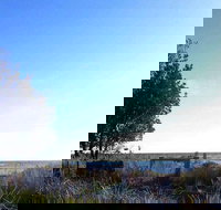 The Seafood Grill - Stayed